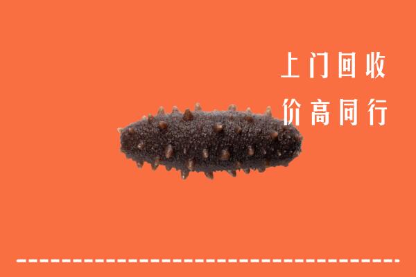 高价求购：高坪区回收海参