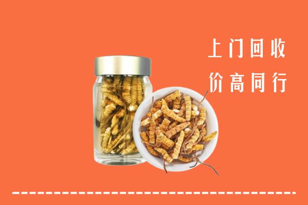 高坪区回收冬虫夏草